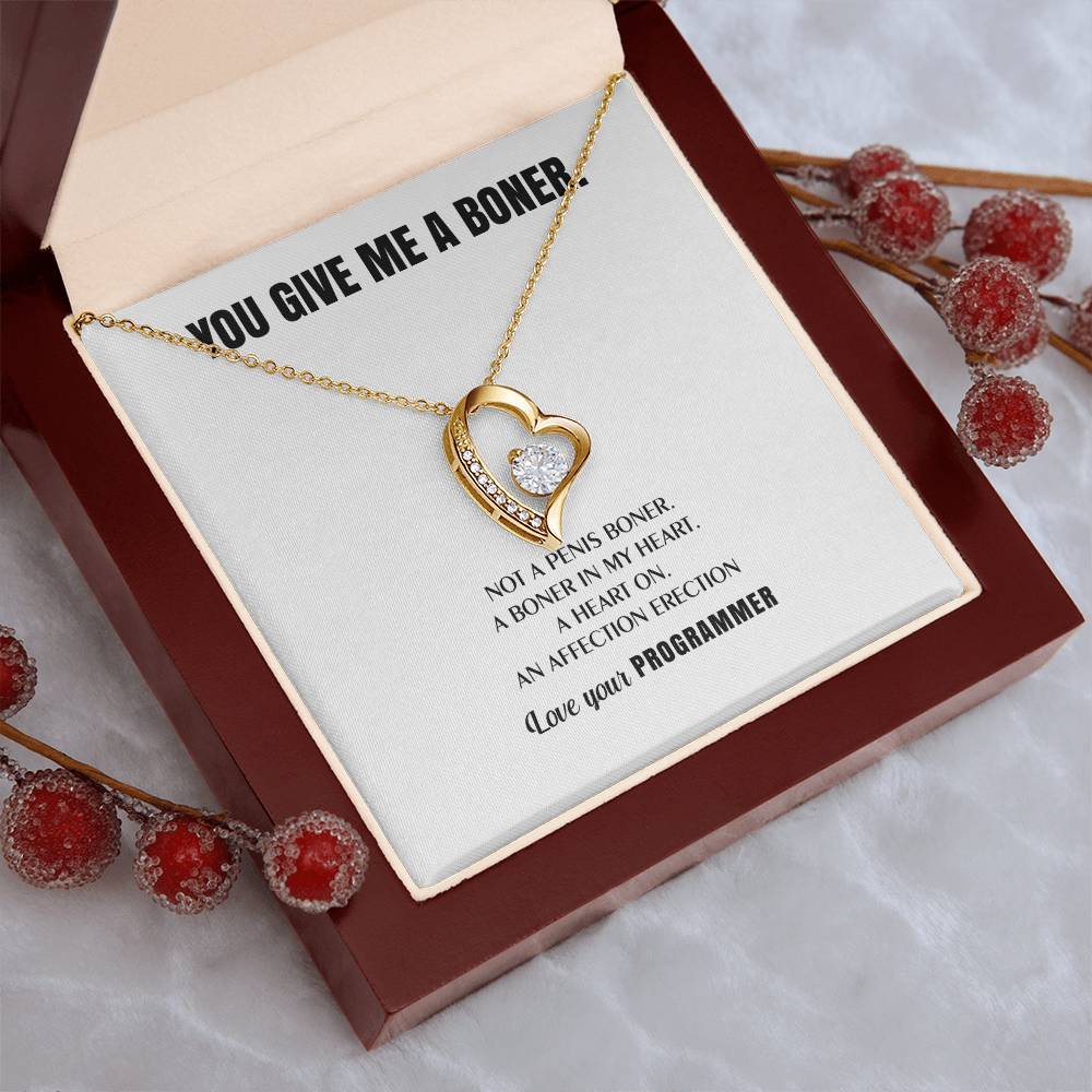 You Give Me A Heart Boner An Affection Erection Funny & Sarcastic Love For Her ? Mature Best Funny Gag Gifts For Programmer Wife On Special Days Forever Love Necklace