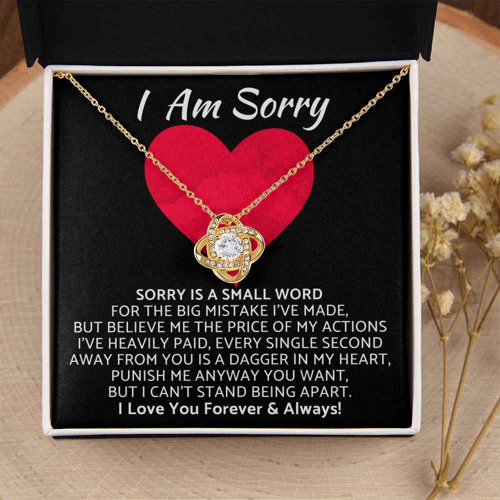 Premium - I Am Sorry Gift for Your Love Knot Necklace
