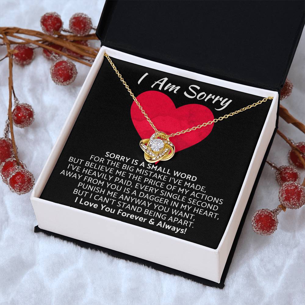 Premium - I Am Sorry Gift for Your Love Knot Necklace