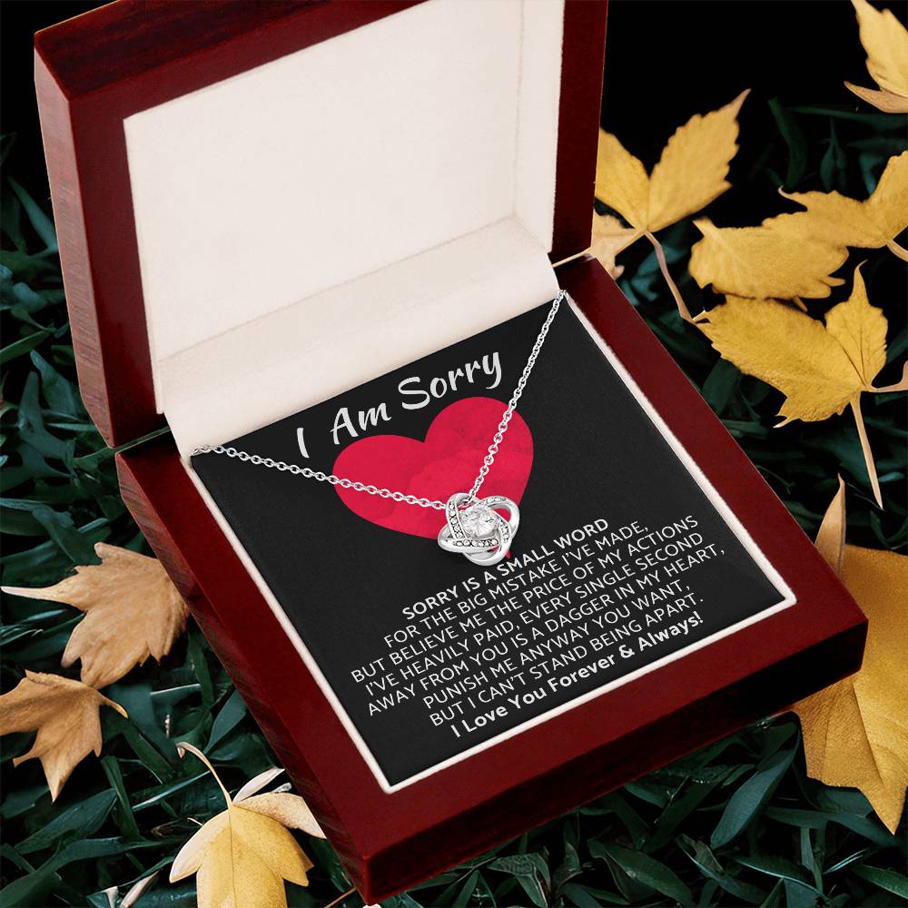 Premium - I Am Sorry Gift for Your Love Knot Necklace