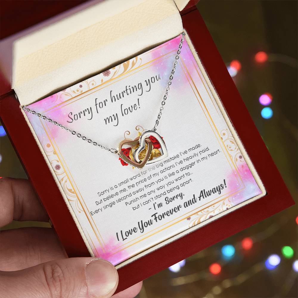 Sorry For Hurting You My Love Interlocking Hearts Necklace