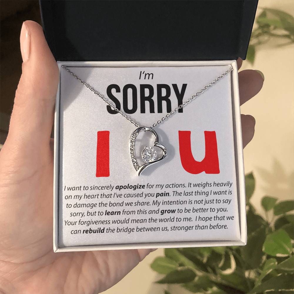 I'M Sorry, I Sincerely Apologize - Forever Love Necklace Forever Love Necklace