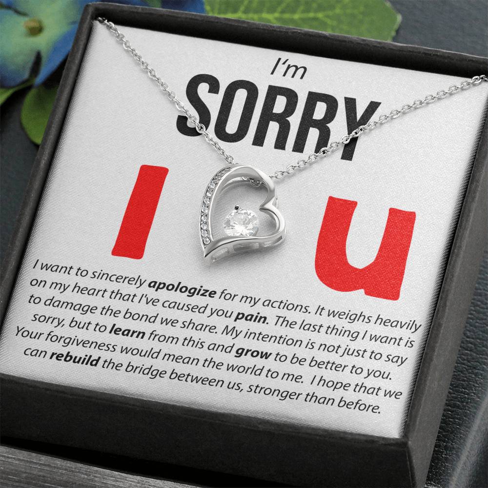 I'M Sorry, I Sincerely Apologize - Forever Love Necklace Forever Love Necklace