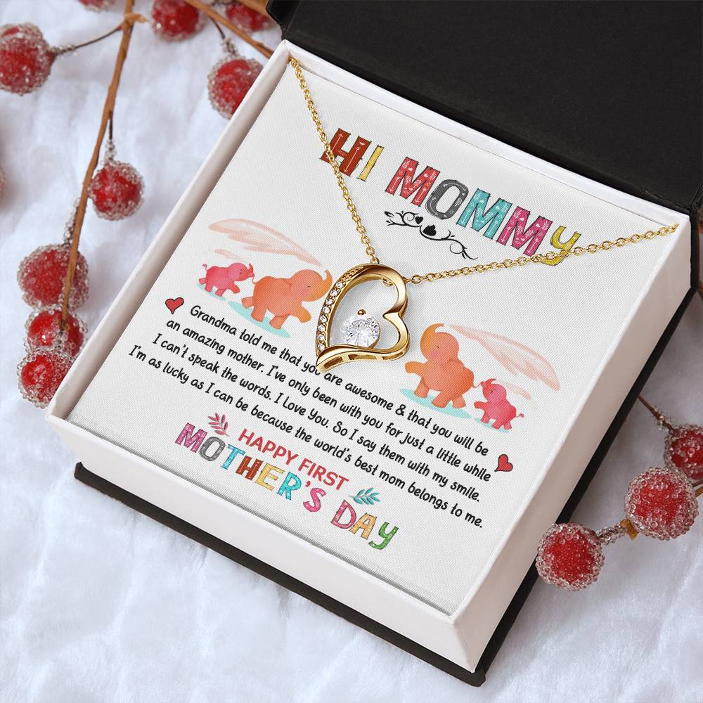 Hi Mommy Grandma Told Me That You Are Awesome Happy Mothers Day Mom Gifts From Daughter Gift For Mom From Daughter Forever Love Necklace