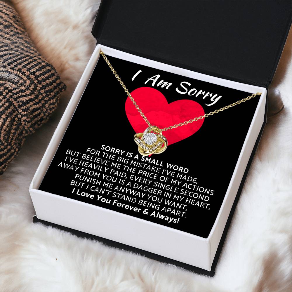 Premium - I Am Sorry Gift for Your Love Knot Necklace