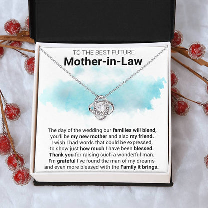 Gift For Future Mother-In-Law Families Blend Love Knot Necklace Love Knot Necklace