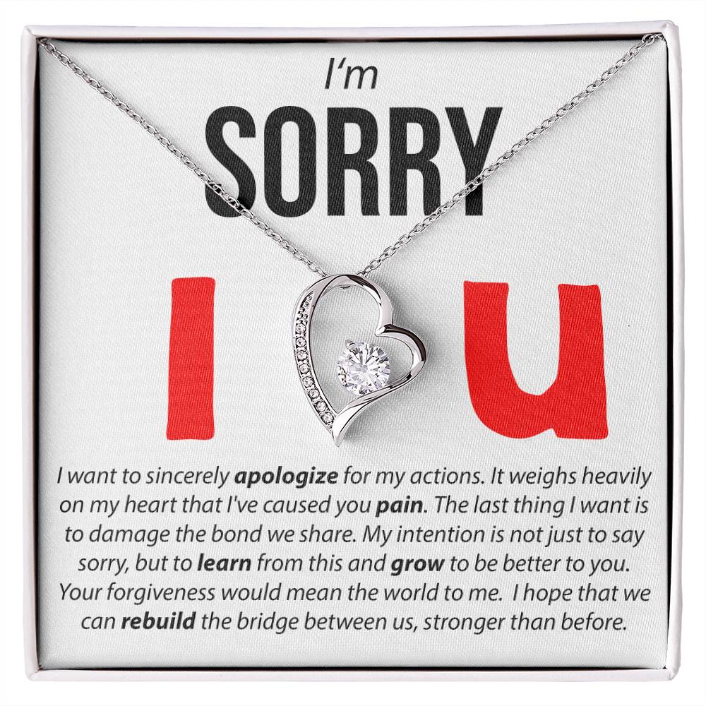 I'M Sorry, I Sincerely Apologize - Forever Love Necklace Forever Love Necklace